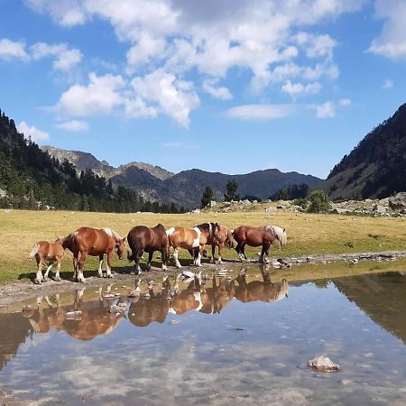 Studio Proche Centre Pour 2/4 Personnes, Cuisine Equipee, Pres Thermes Et Telecabines - Fr-1-234-281 Cauterets Dış mekan fotoğraf
