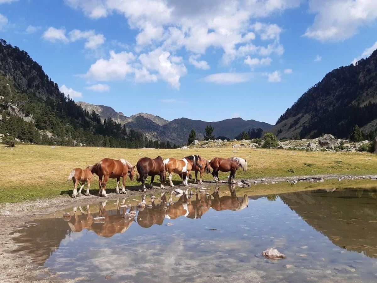 Studio Proche Centre Pour 2/4 Personnes, Cuisine Equipee, Pres Thermes Et Telecabines - Fr-1-234-281 Cauterets Dış mekan fotoğraf